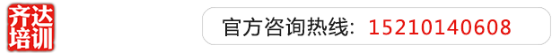 操老逼pr0n齐达艺考文化课-艺术生文化课,艺术类文化课,艺考生文化课logo